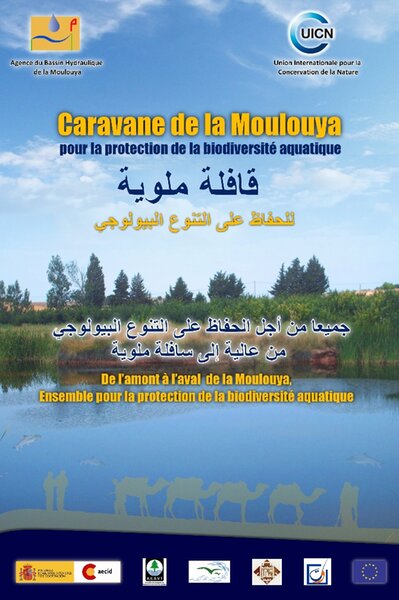 PROJET CARAVANE DE LA MOULOUYA